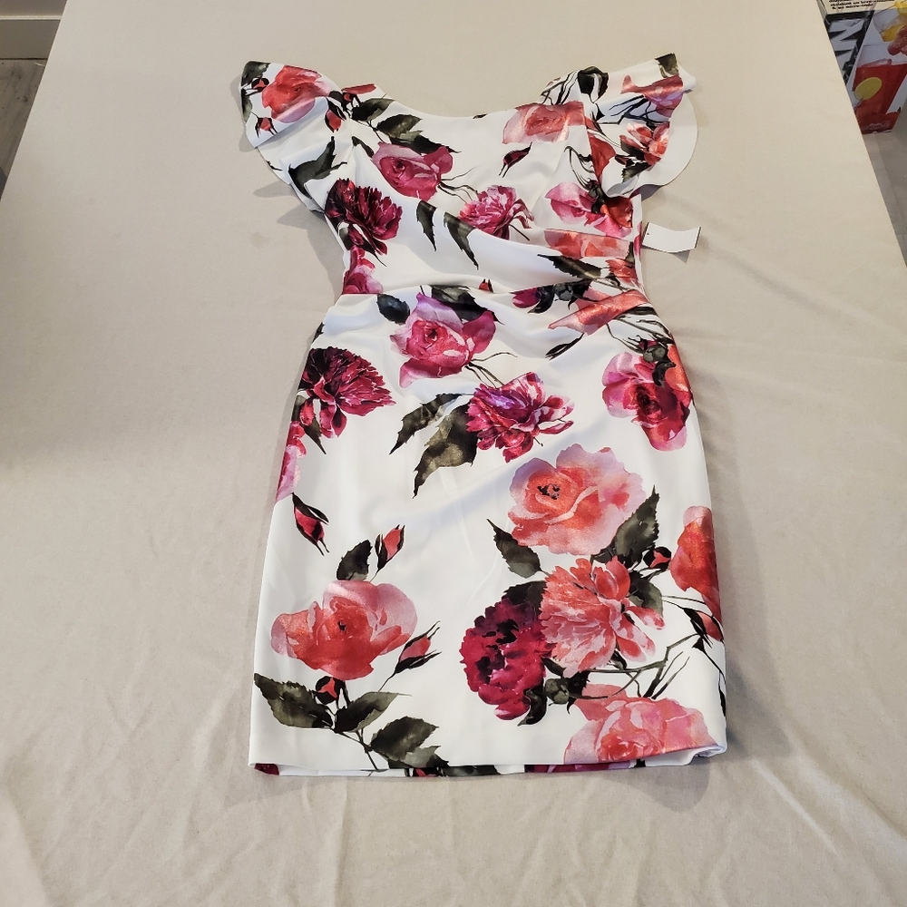 BNWT Eliza J Nordstrom Roses Dress Size 10